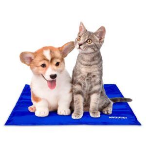 92ede4e3e768be411492300529c49c5f