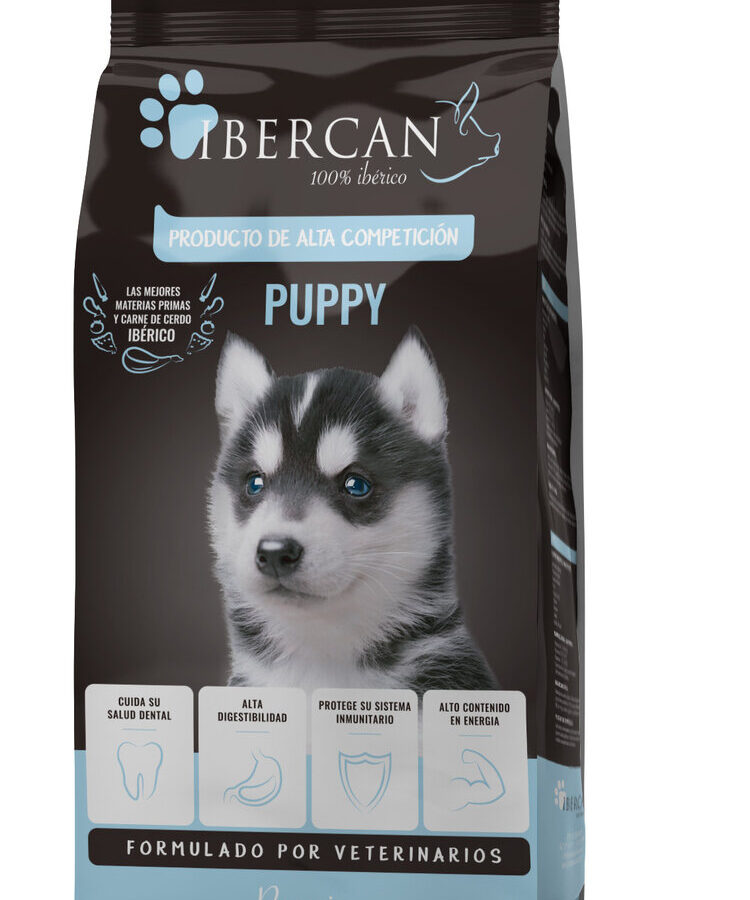 269254d559c184f1c65993314d5c04a1