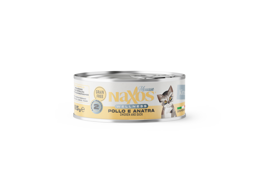 4bcd31675eb45620fae4238710257ab2