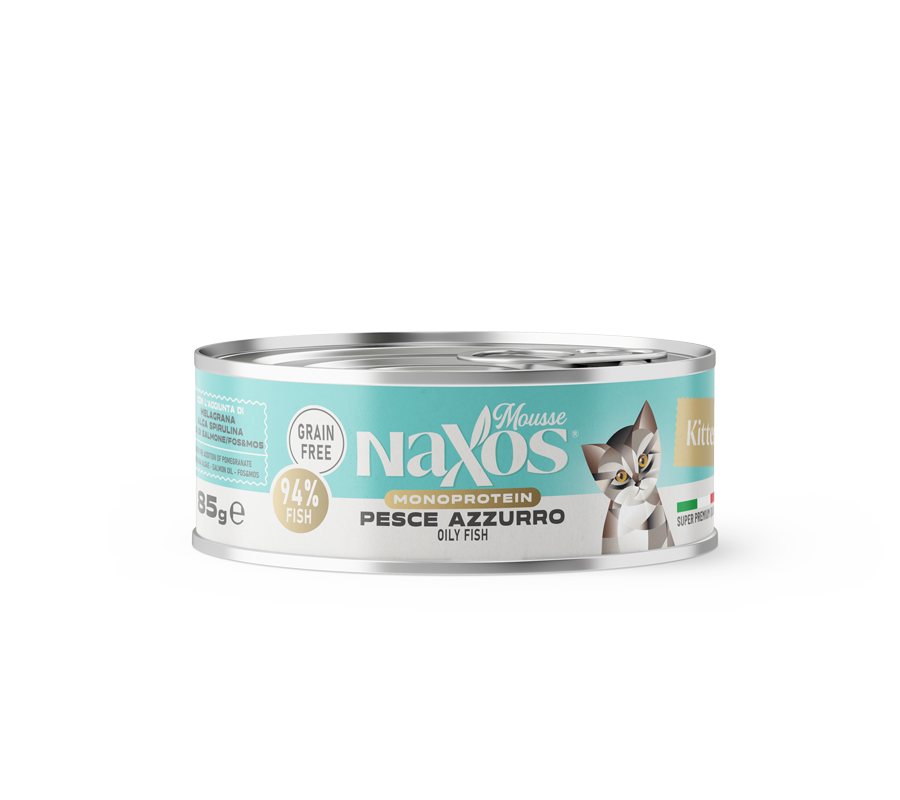 6a9941e9f60d5d55ebed6d32231222e7